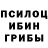 Галлюциногенные грибы Psilocybe Saifuddin Rajabov